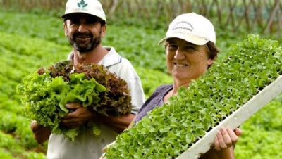 Censo Agro 2017 mostra queda da agricultura familiar