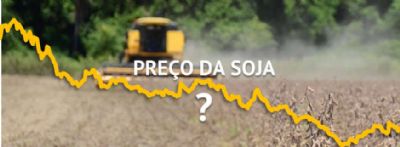 Pre�o da soja despenca nos EUA