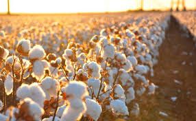 Valores internos seguem em queda neste in�cio de abril