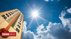 Ondas de calor e frio: por que o agroneg�cio deve se preocupar com elas?