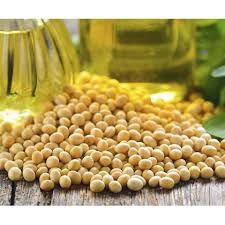 Importa��es de soja pela China aumentam 8% em mar�o apesar de demanda moderada