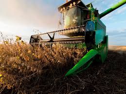 Colheita de soja 22/23 atinge 54% da �rea no RS