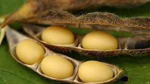 Aprosoja se manifesta sobre declara��es do presidente da Apex Brasil