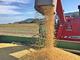 Exporta��o da soja