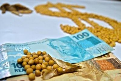 Soja: veja o que pode mexer com o mercado na pr�xima semana