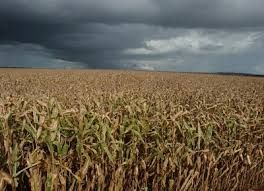 Climatempo destaca tamb�m retorno gradual das frentes pelo Sul do Brasil