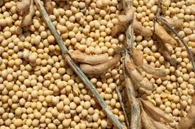 Com oferta acima da demanda, pre�o segue em queda