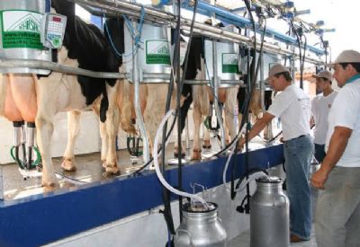 Brasil exporta projeto de bancos de leite para parceiros do Brics