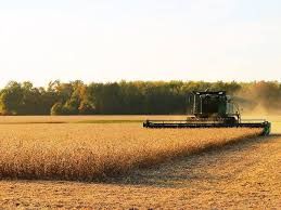 Colheita da safra 2019/2020 de soja come�a em Mato Grosso;