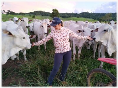 Empaer e ABCZ instalam unidades para recupera��o de pastagens degradadas em oito munic�pios de MT