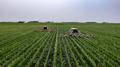 Mercado agr�cola ajusta pre�os na abertura com foco no clima e cen�rio externo