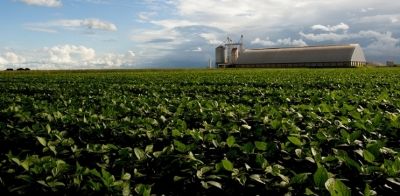 Munic�pio no Nort�o atinge alta produtividade de soja com 70 saca por hectare