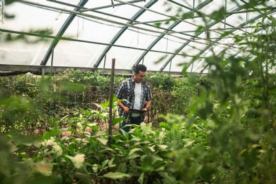 Tecnologia avan�a e transforma a produtividade no campo