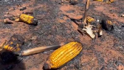 Inc�ndios em �reas de palhada de milho preocupam agricultores de Mato Grosso