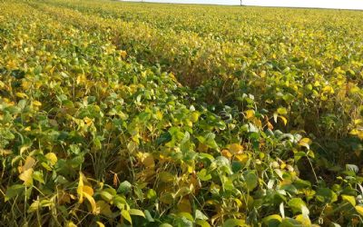 Governo anuncia pagamento do Garantia-Safra para 74 mil agricultores familiares