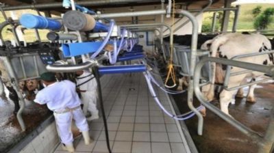 Custo de produ��o da pecu�ria de leite acumula alta de 3,55% no ano