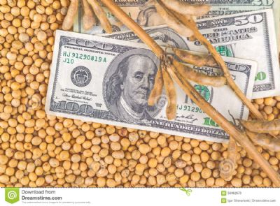 Mato Grosso: Exporta��es de soja para a China ultrapassam as 11.4 milh�es de toneladas