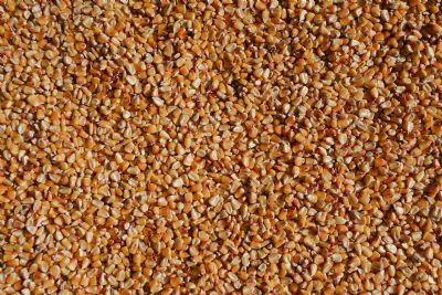 Milho pode cair mais no Brasil com press�o da safra e oferta global elevada