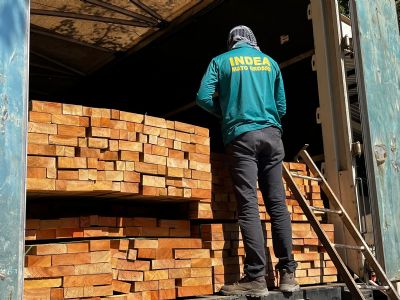 Indea emite 10,5 mil certificados de identifica��o de madeira; medida auxilia no combate ao desmatamento ilegal