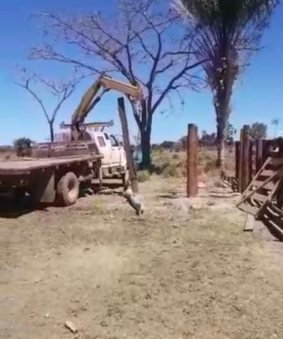 Produtor rural de Santa Terezinha tem curral desmanchado e atuado pela SEMA no uso de madeira irregular