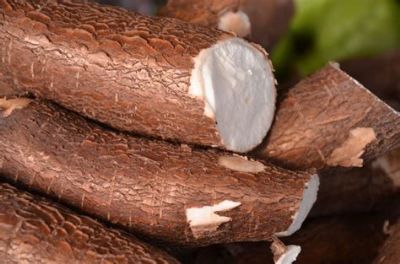 Mandioca: Pre�o m�dio recua 1,8% na semana