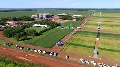 Tecnologias e Novidades em Milho e Sorgo: O Grande Encontro na Fazenda Santa em 2025
