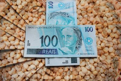 �Produtor de soja n�o deve esperar d�lar chegar a R$ 5 para vender�