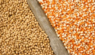 Semana de boas vendas de soja e milho nos EUA confirmam que altos pre�os ainda n�o est�o racionando a demanda