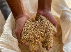 Demanda por farelo de trigo cresce eleva  pre�o