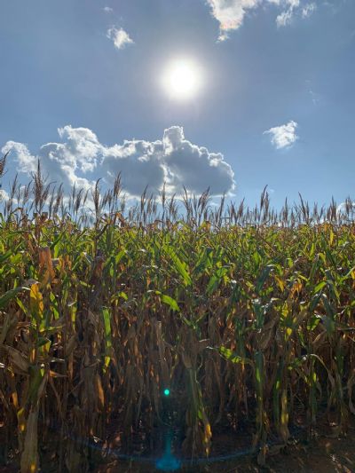 Centro-Oeste segue com tempo firme