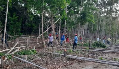 Justi�a determina que MST desocupe �rea invadida da Suzano na Bahia