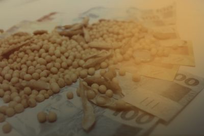 D�lar voa a R$5,22 e bate recordes com p�nico global; DIs disparam horas antes de Copom