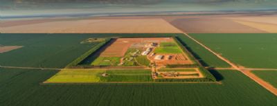 Abrir terras a estrangeiros traria R$ 50 bilh�es