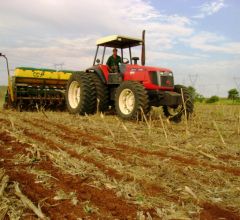 Mapa libera plantio de soja em fevereiro em MT