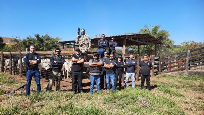 Receptador de gado de furto � preso em opera��o no MT