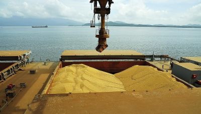 Alta do d�lar cria expectativa para exporta��es de soja em Mato Grosso