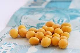 Soja: Mercado tem estabilidade nesta 3� em Chicago ap�s altas intensas do �ltimo preg�o