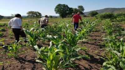 Produtores rurais, �grandes agentes de sa�de p�blica�