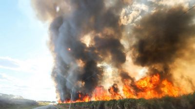 Mato Grosso registra quase 50 mil alertas de queimada em Julho, Confresa na lista;