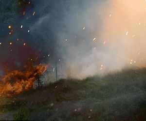 Mato Grosso: Calor intenso e baixa umidade aumenta o risco para inc�ndios