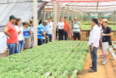 Agricultores familiares de MT financiaram R$ 32,2 milh�es via projetos de cr�ditos elaborados pela Empaer