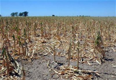 Depois da maior seca em 50 anos, Argentina come�a a avaliar os efeitos diretos