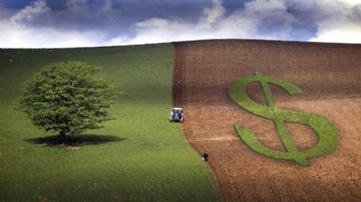 Divulgada rela��o atualizada de produtores beneficiados no Programa de Seguro Rural