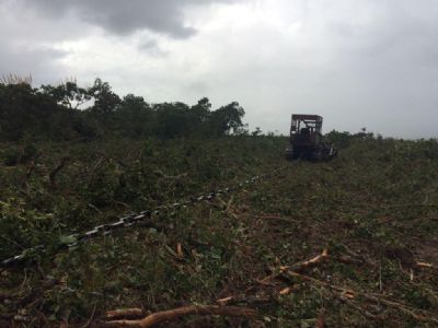 Sema apreende cinco tratores em Novo S�o Joaquim