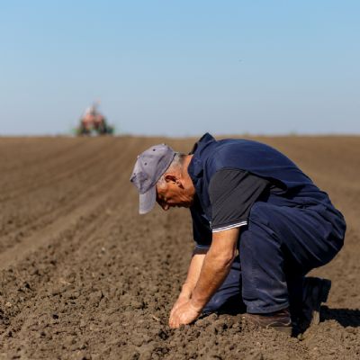 Soja: Condi��es clim�ticas causam recuo na �rea de semeadura da safra 23/24