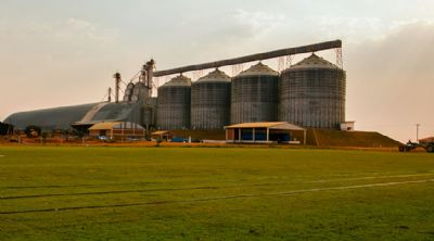 Relat�rio mostra que ainda tem soja da safra passada nos armaz�ns do Norte Araguaia