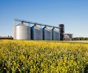 Mato Grosso registra salto hist�rico nas exporta��es em novembro