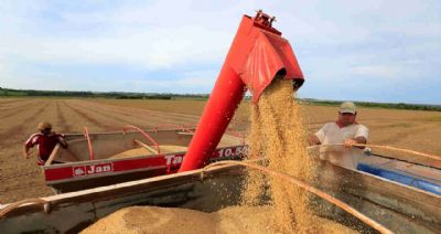 Mercado da soja inicia semana em alta na Bolsa de Chicago, mas sem novidades fortes