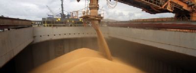 Anec reduz proje��o de exporta��o de soja do Brasil em fevereiro para 7,73 mi t