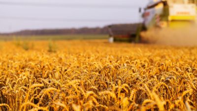 Equipamentos e m�quinas para agricultura: veja quais n�o podem faltar para um produtor rural